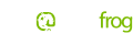 screaming frog
